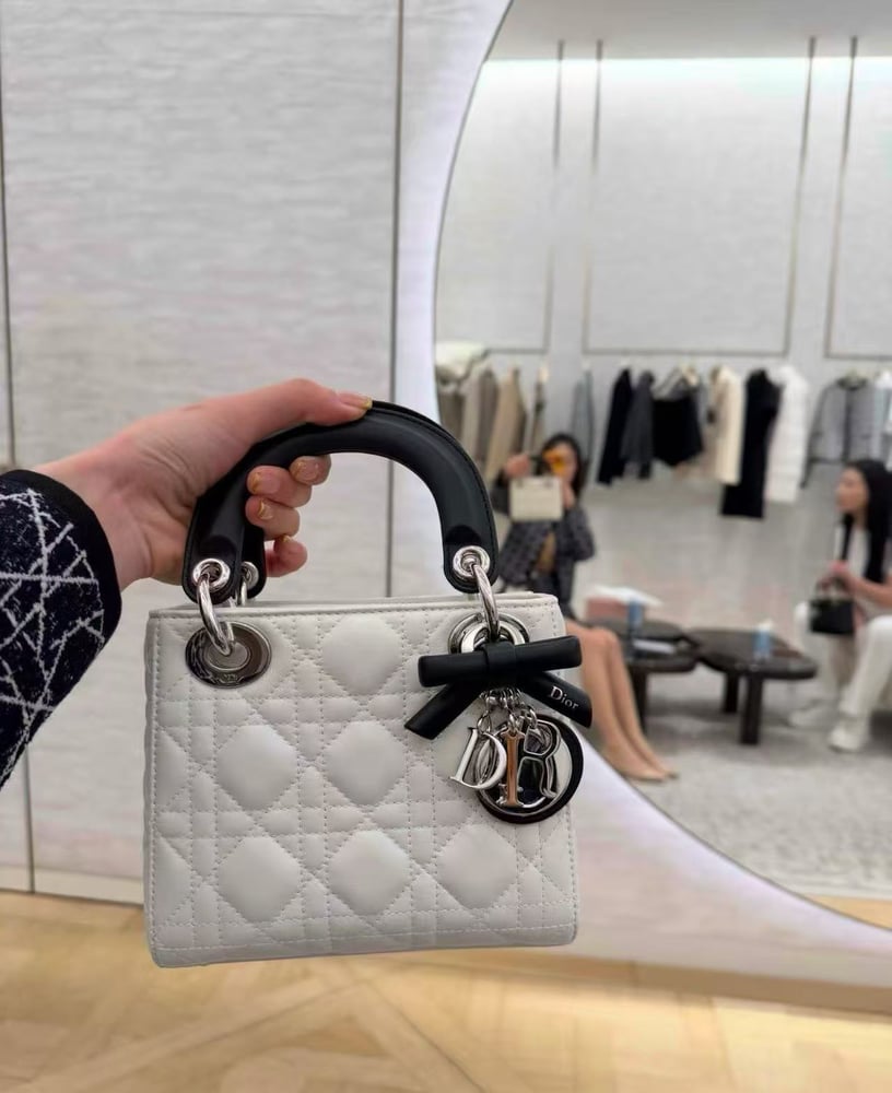 DIOR LADY mini size 17cm
