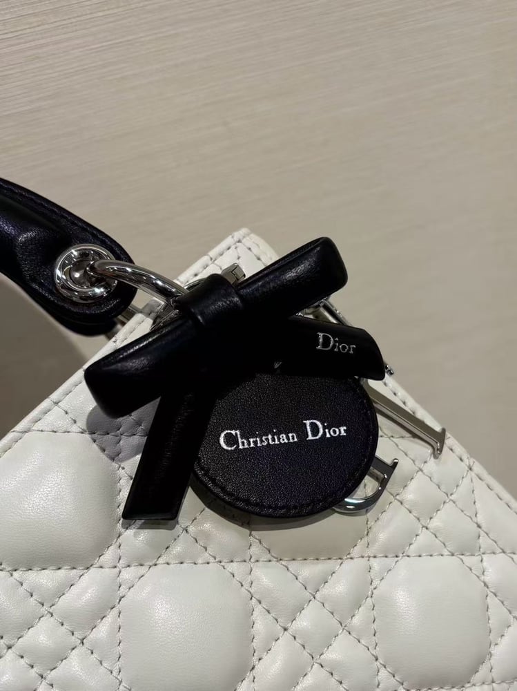 DIOR LADY mini size 17cm