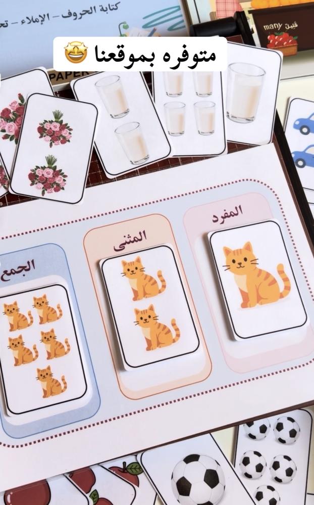 بطاقات المفرد والمثنى والجمع