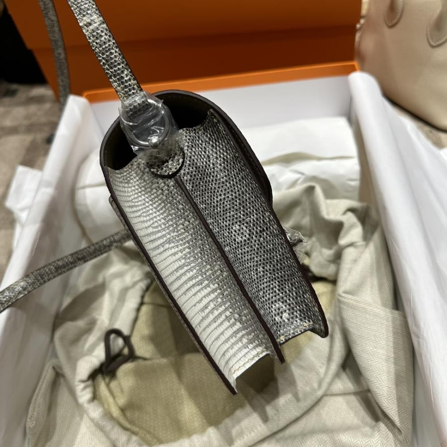 Hermes Mini Roulis 19 Lizard 1B Ombre