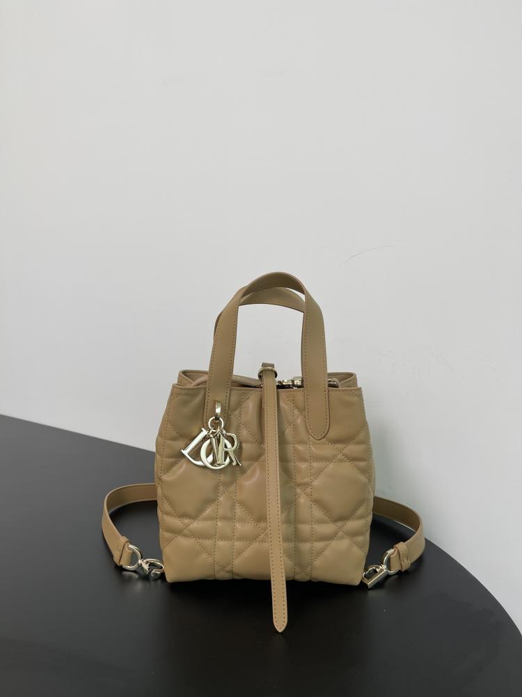Small Dior Toujours Vertical Tote Bag