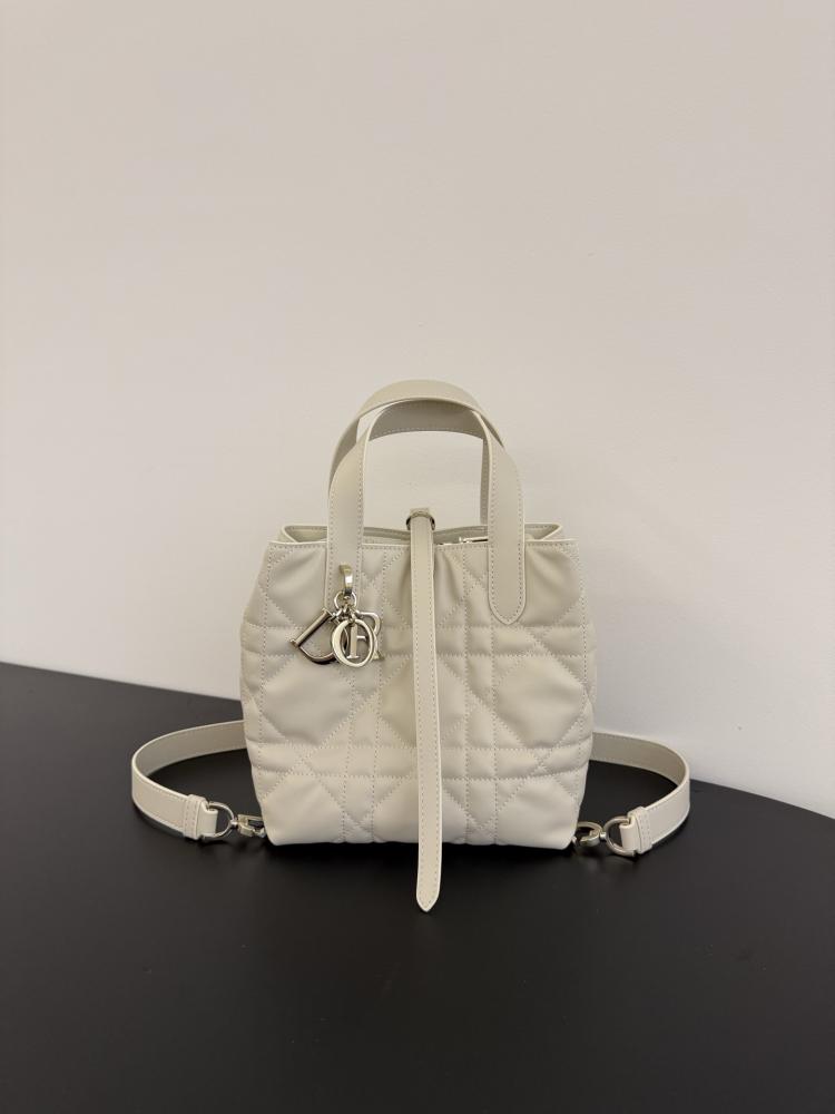 Small Dior Toujours Vertical Tote Bag