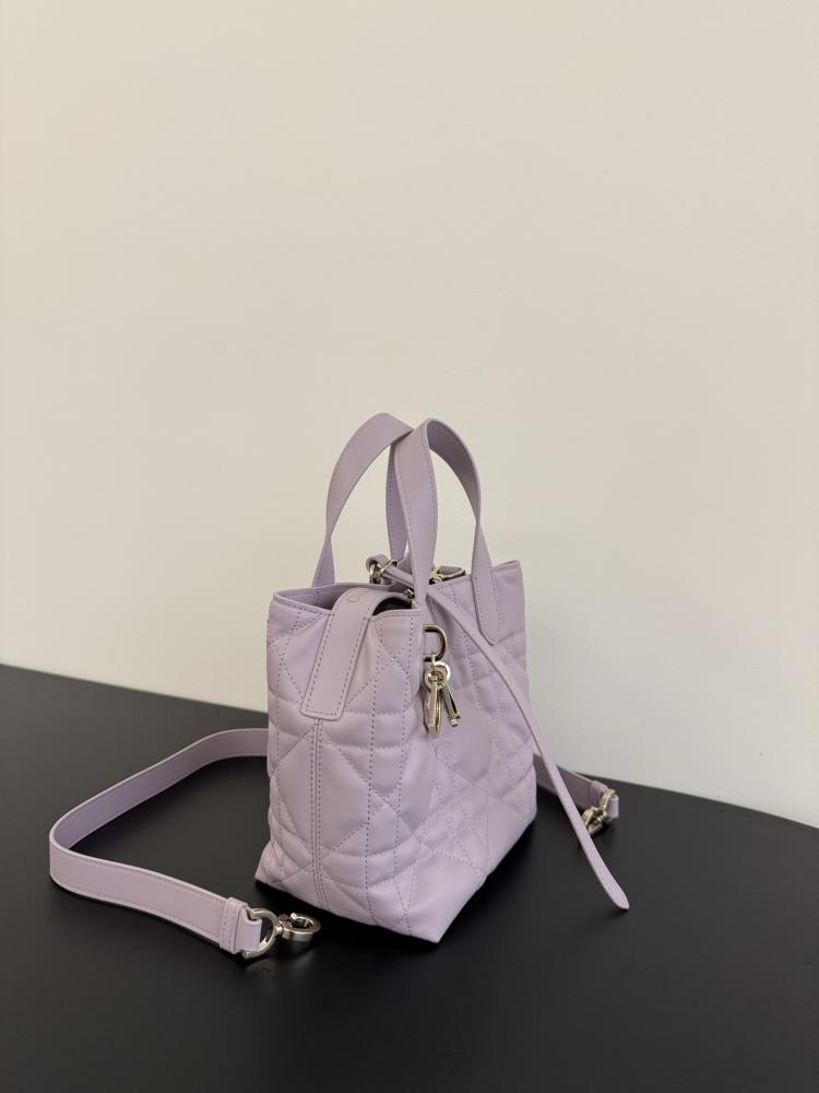 Small Dior Toujours Vertical Tote Bag