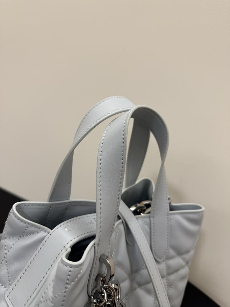 Small Dior Toujours Vertical Tote Bag