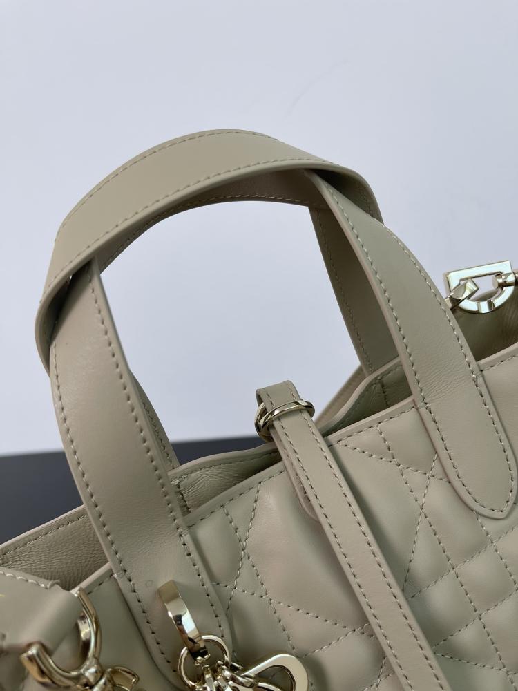 Small Dior Toujours Vertical Tote Bag