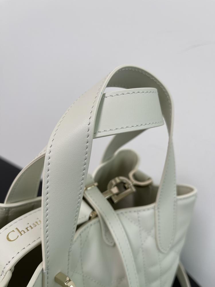 Small Dior Toujours Vertical Tote Bag
