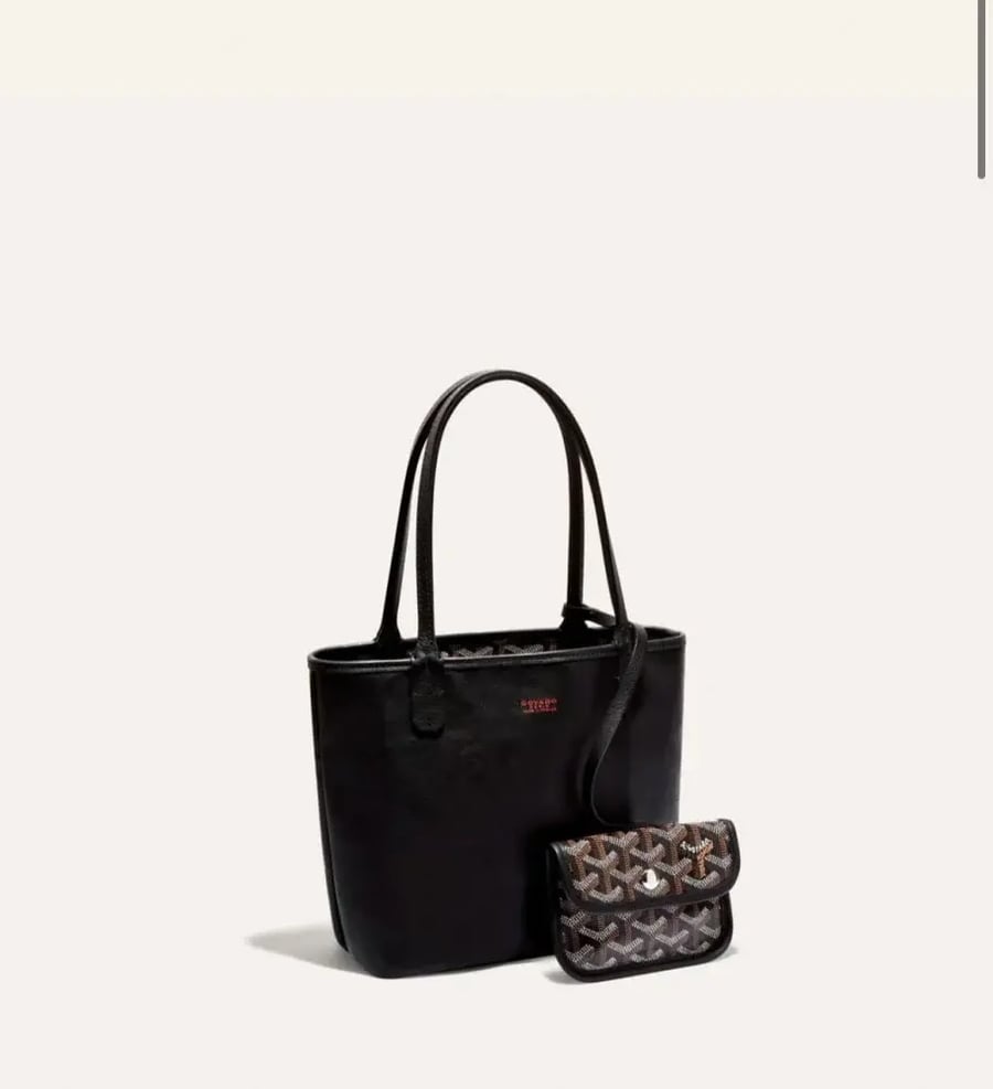 شنطة Goyard anjou mini