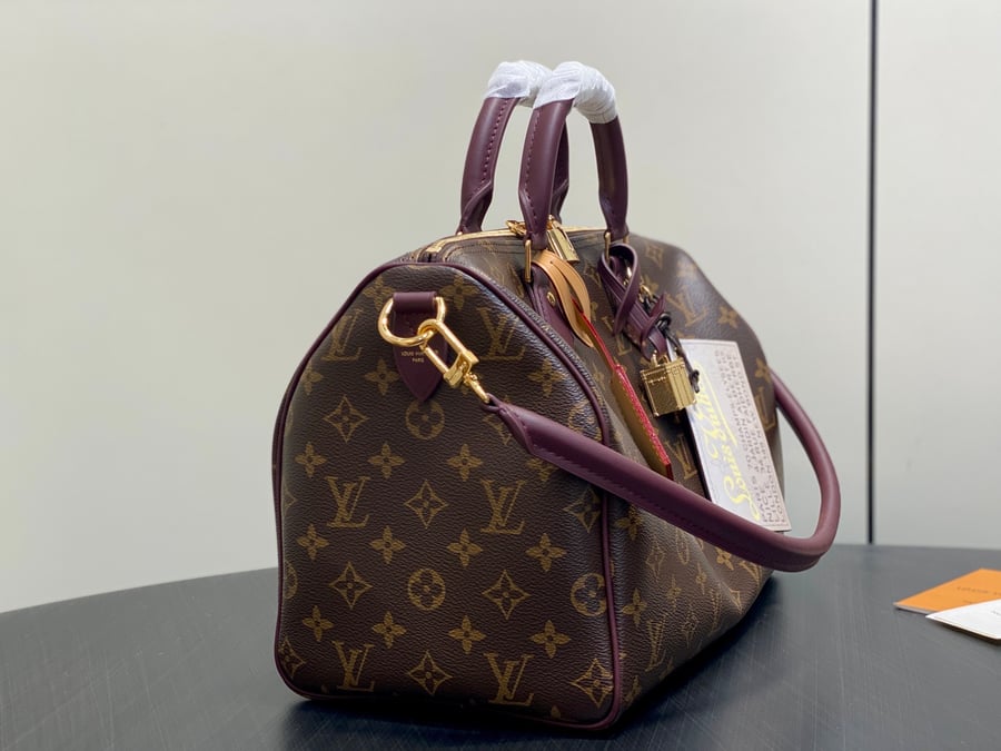 LV bag
