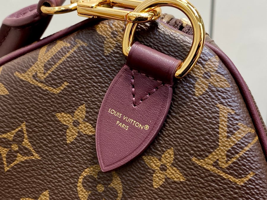 LV bag