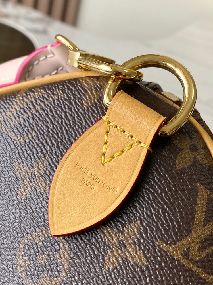 LV bag