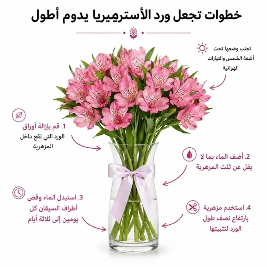 ألستروميريا بنفسجية – 10 أغصان