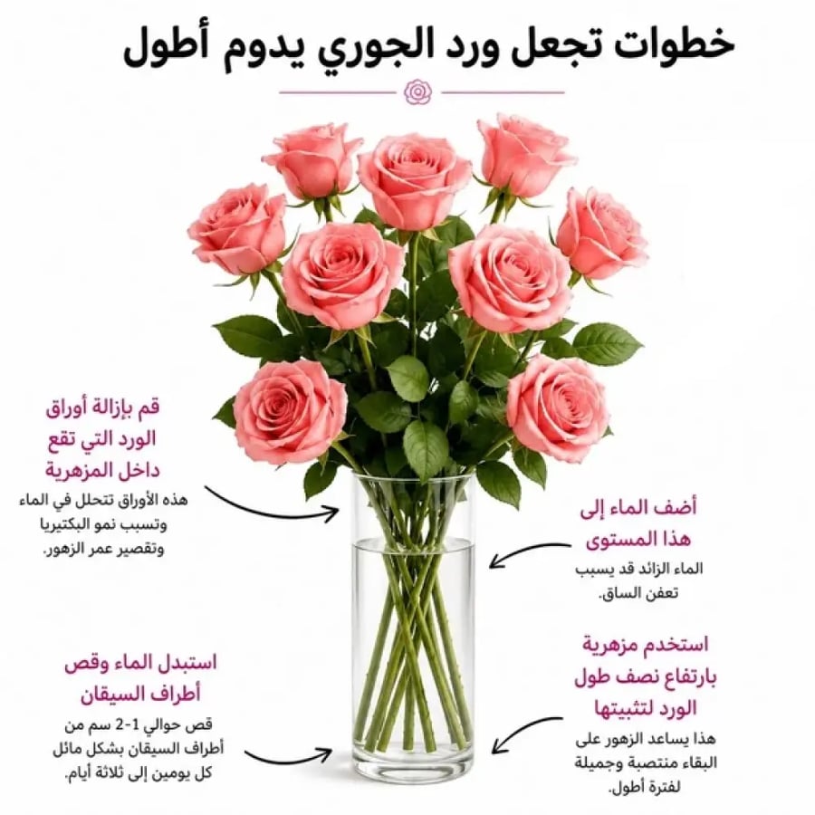 جوري ، اورنج ، 10 أغصان