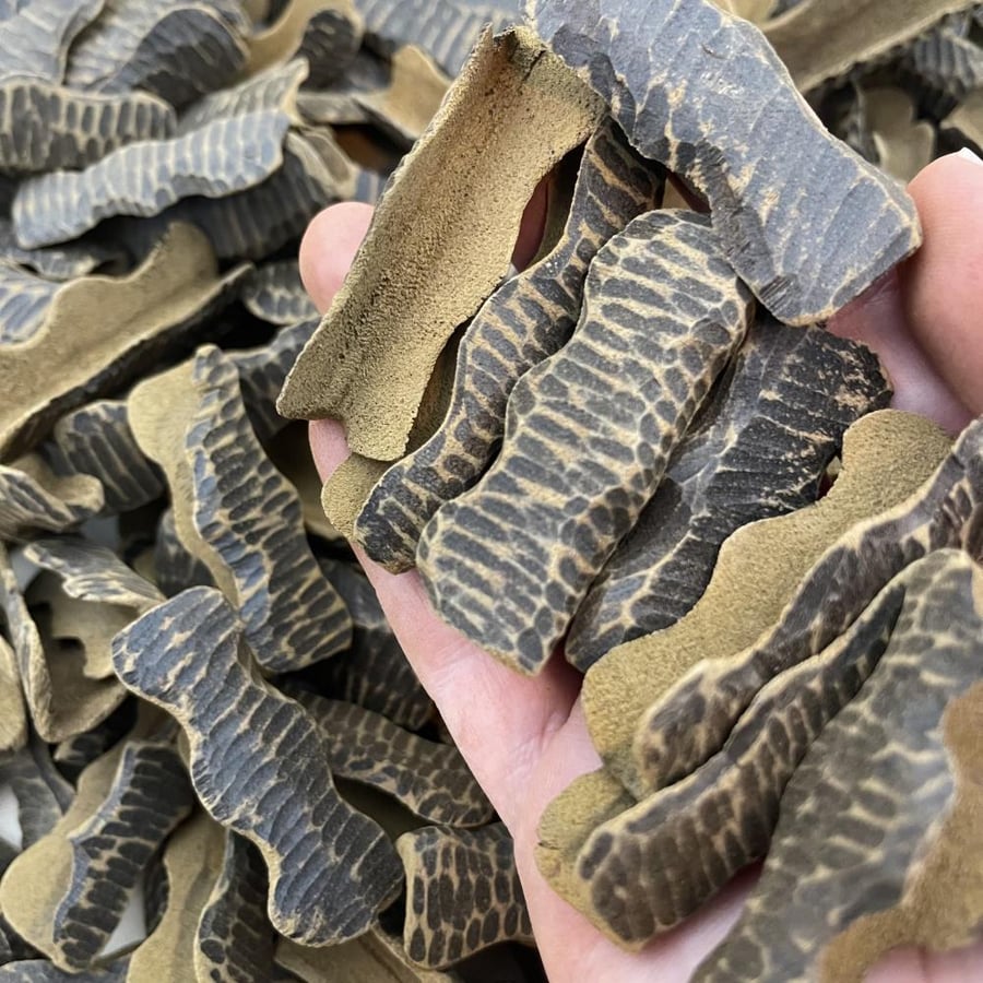 زوايـــا فاخر ( طبيعي محسن )