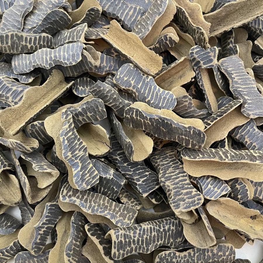 زوايـــا فاخر ( طبيعي محسن )