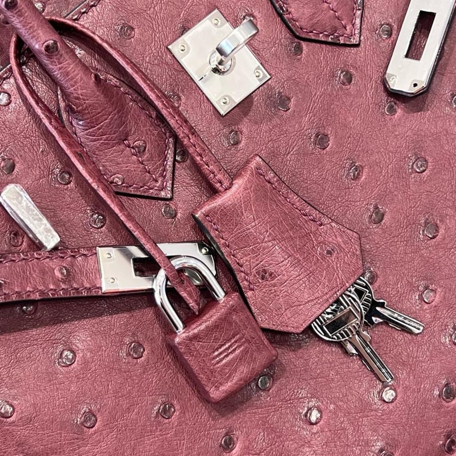 Birkin size 25cm