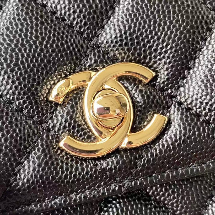 شانيل كوكو هاندل | Chanel Coco Handle