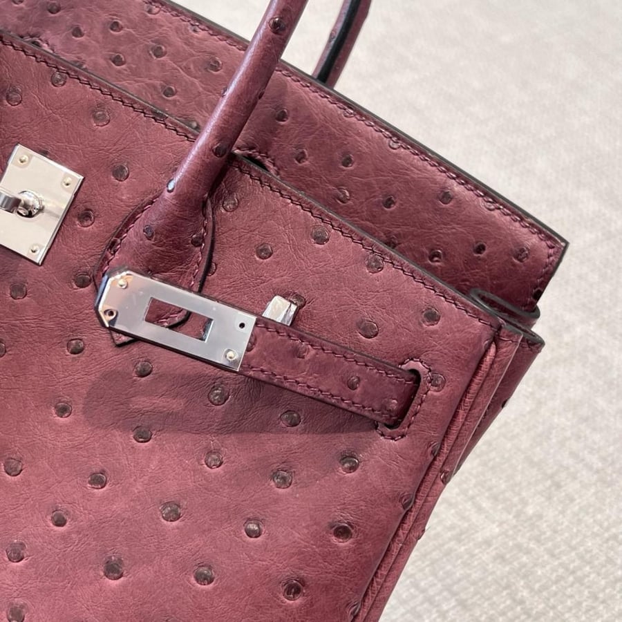 Birkin size 25cm