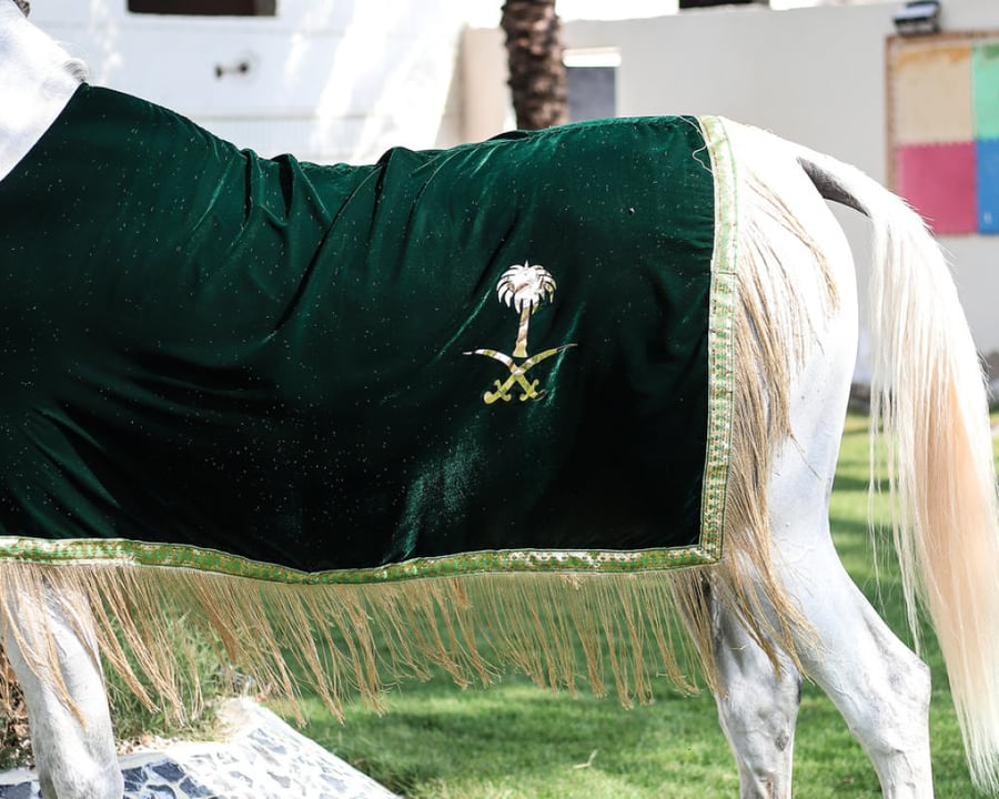 Jalal velvet with golden threads