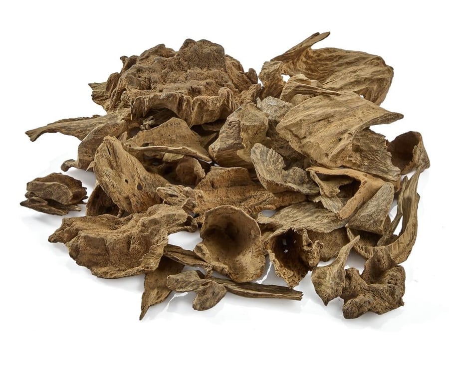 عود سيلاني دبل سوبر
