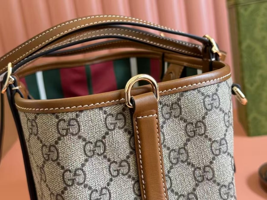 Gucci bag (brown)