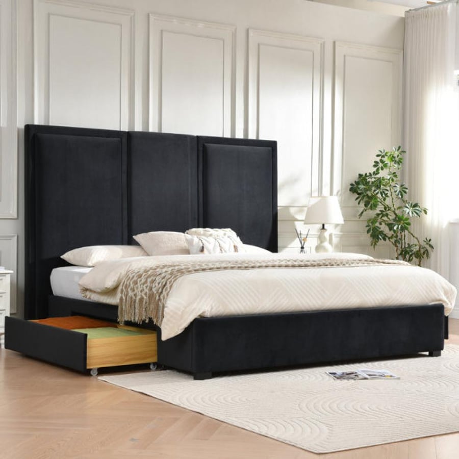 Multicolored Morgan bed