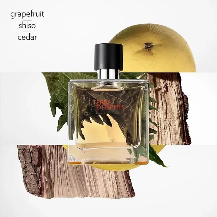عطر تيري دي هيرمز بيور بارفيوم رجالي - 75 مل