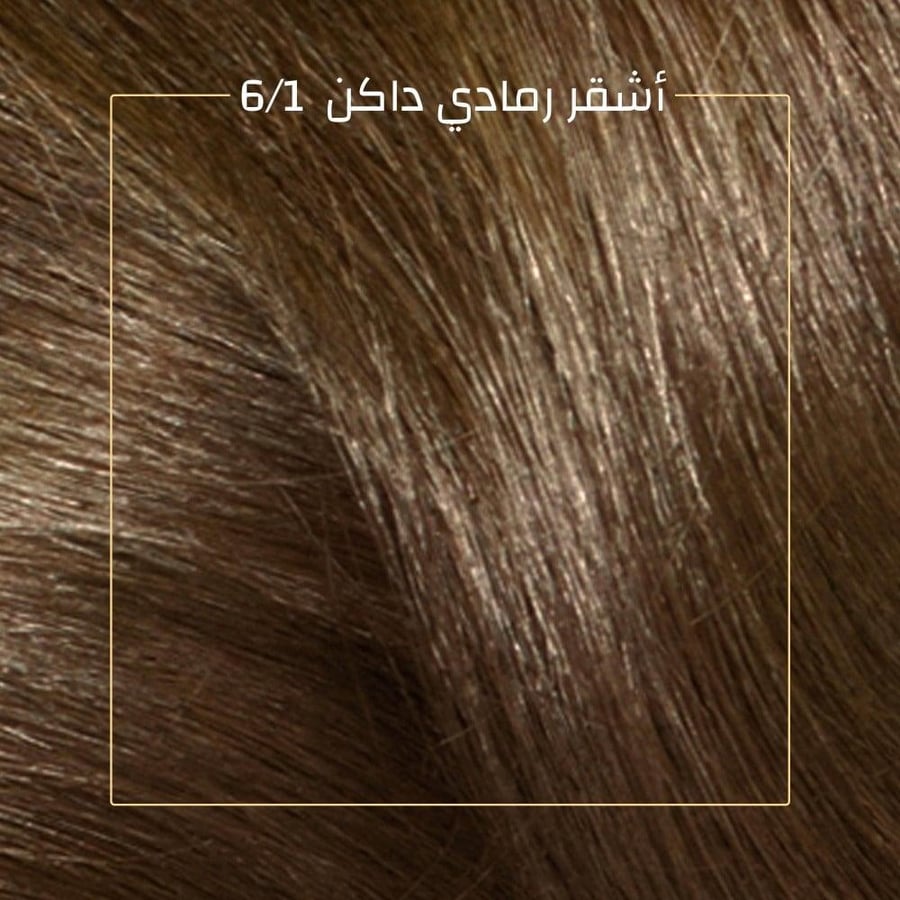 Kolistone hair dye kit with oil substitute dark ash blonde 6/1