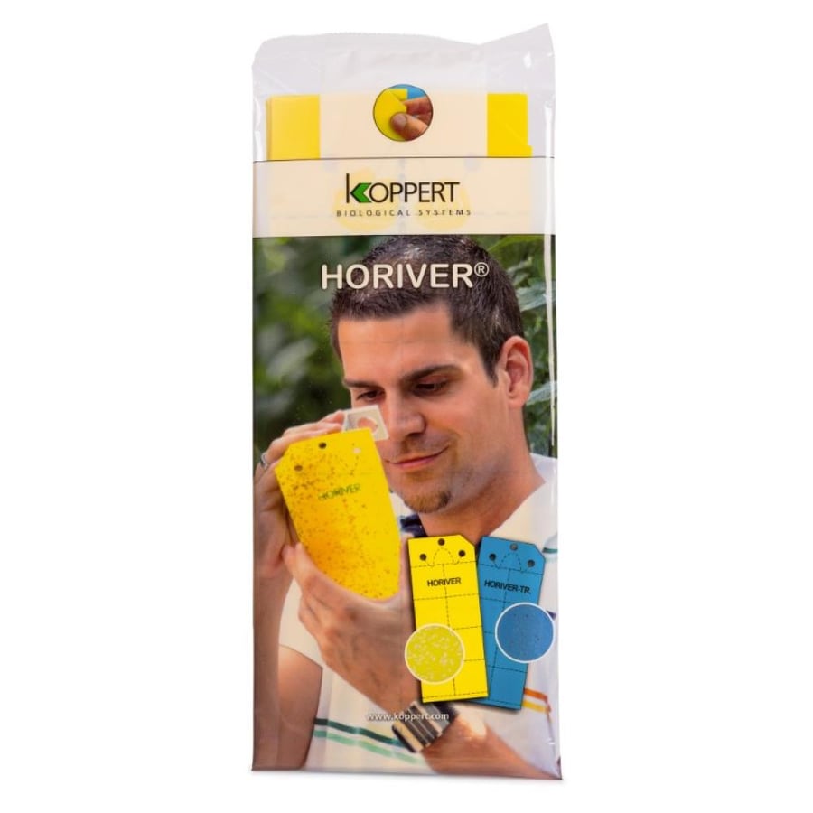 كروت لاصقة Koppert لمكافحة ورصد الذبابة البيضاء والتربس والذباب الفطري