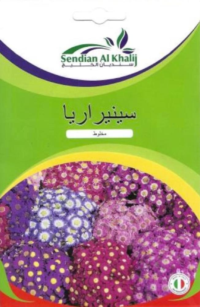 بذور سينيراريا مخلوط 1 غم