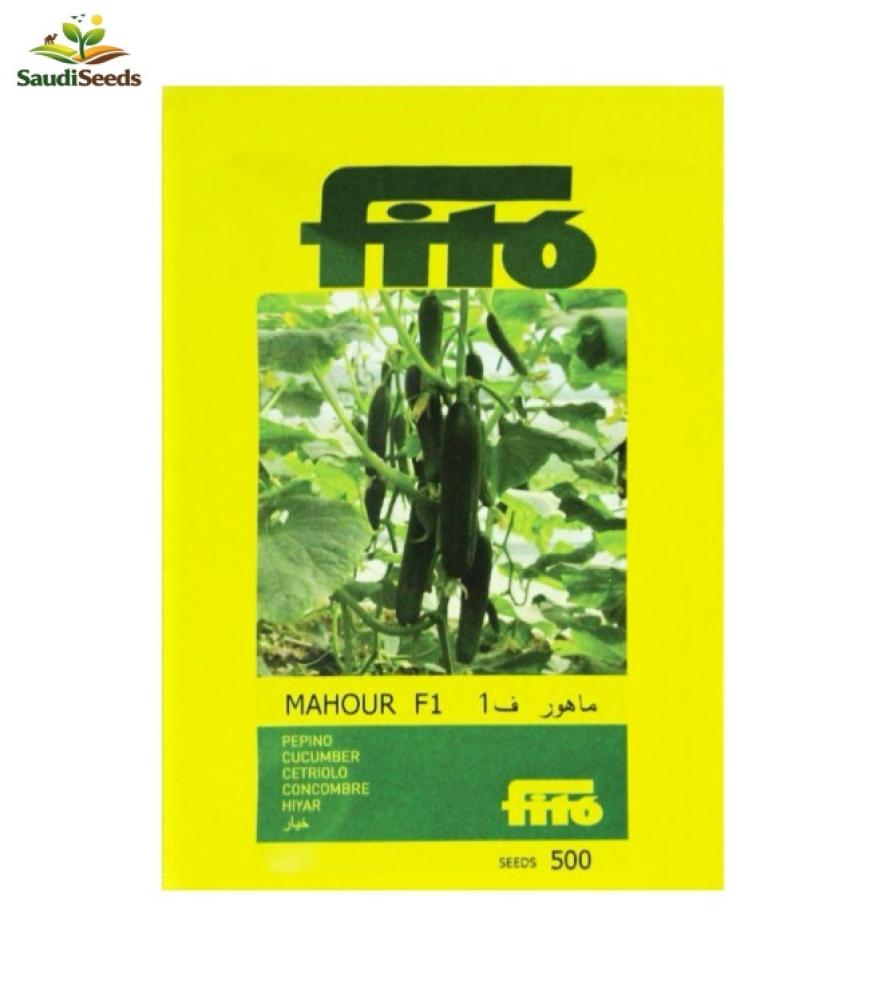 خيار ماهور F1 للبيت المحمي 500 بذرة Mahour F1 Cucumber