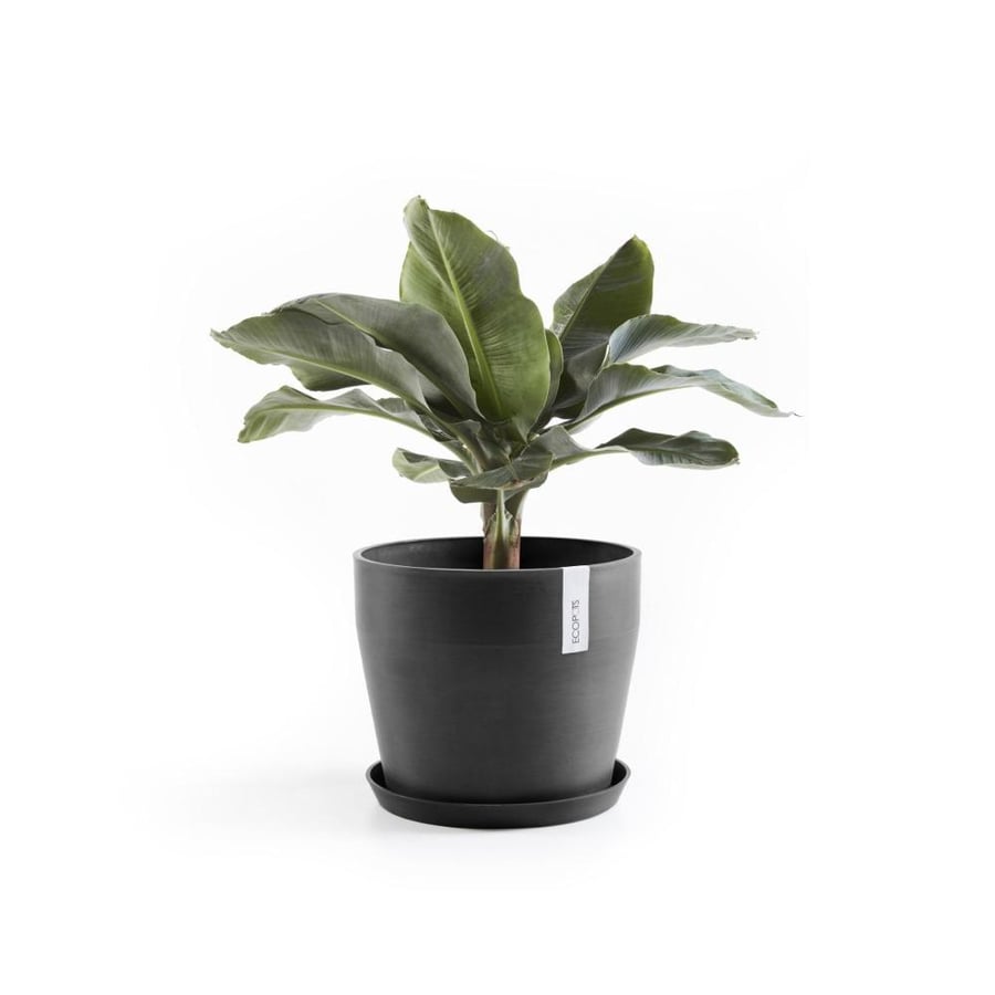 مركن إيكو بوت فايبر سانكارا ECOPOTS مقاس 40