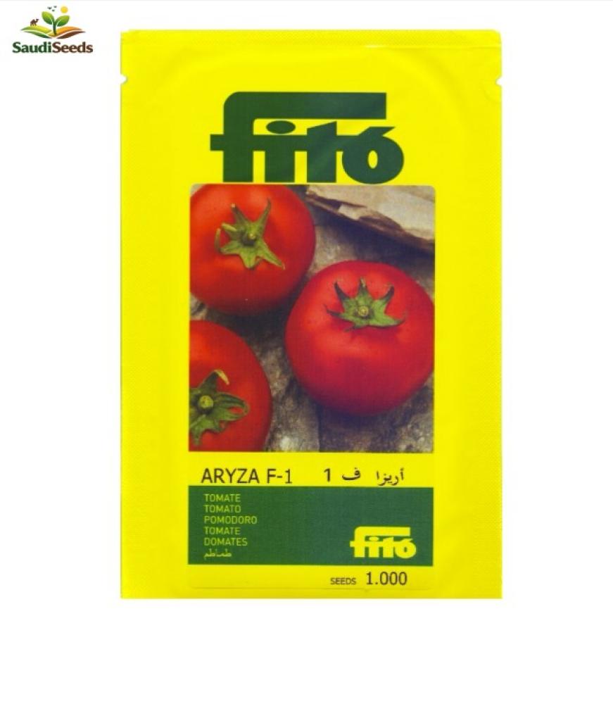 طماطم أريزا F1 للبيت المحمي 1000 بذرة Aryza F1 Tomato
