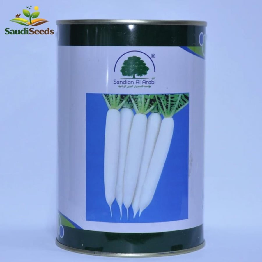 بذور فجل 500 غرام