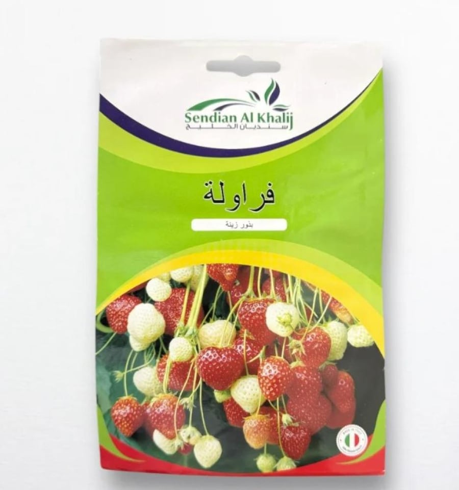 بذور فراولة بذور زينة 1 غم