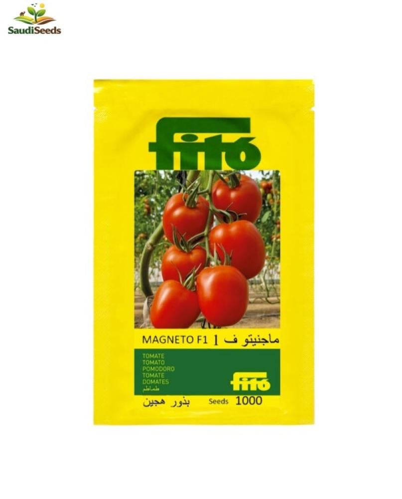 طماطم ماجنيتو F1 باكت 1000 بذرة Magneto F1 Tomato
