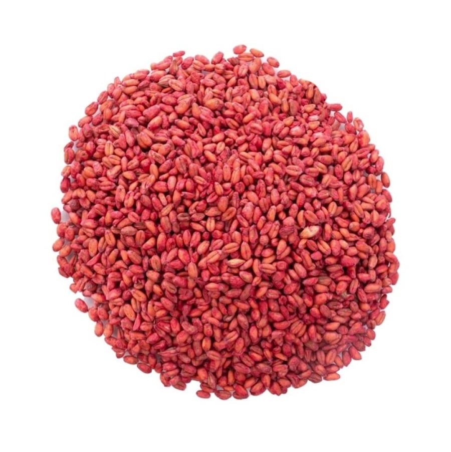 بريغاند دي حبوب قمح لمكافحة القوارض 1 كيلو