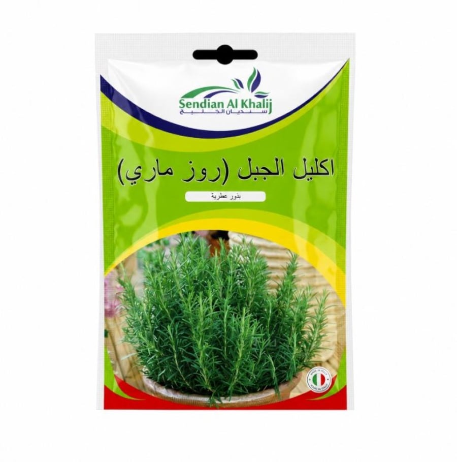 بذور إكليل الجبل روز ماري