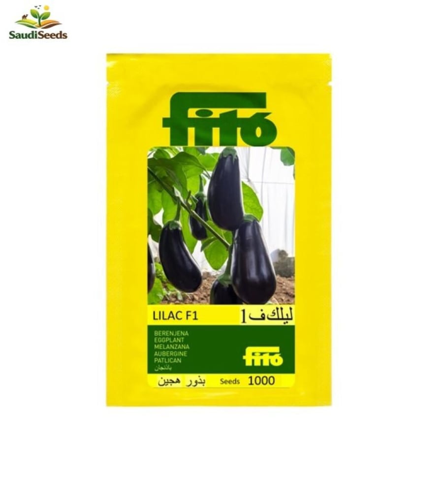 باذنجان ليلك 1000 بذرة Lilac F1 Eggplant