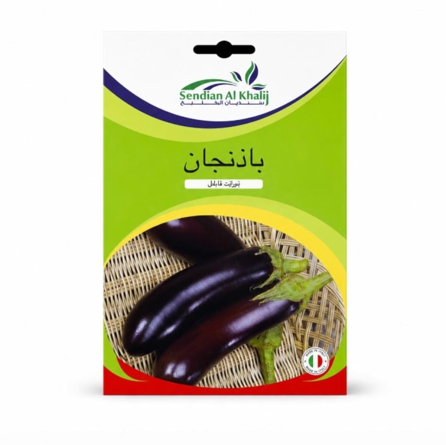 بذور باذنجان فيوليت نابلس 2 غم