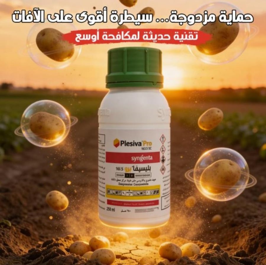 بليسيفا برو 163 اس سي مبيد حشري جهازي لمكافحة الذبابة البيضاء المن الت
