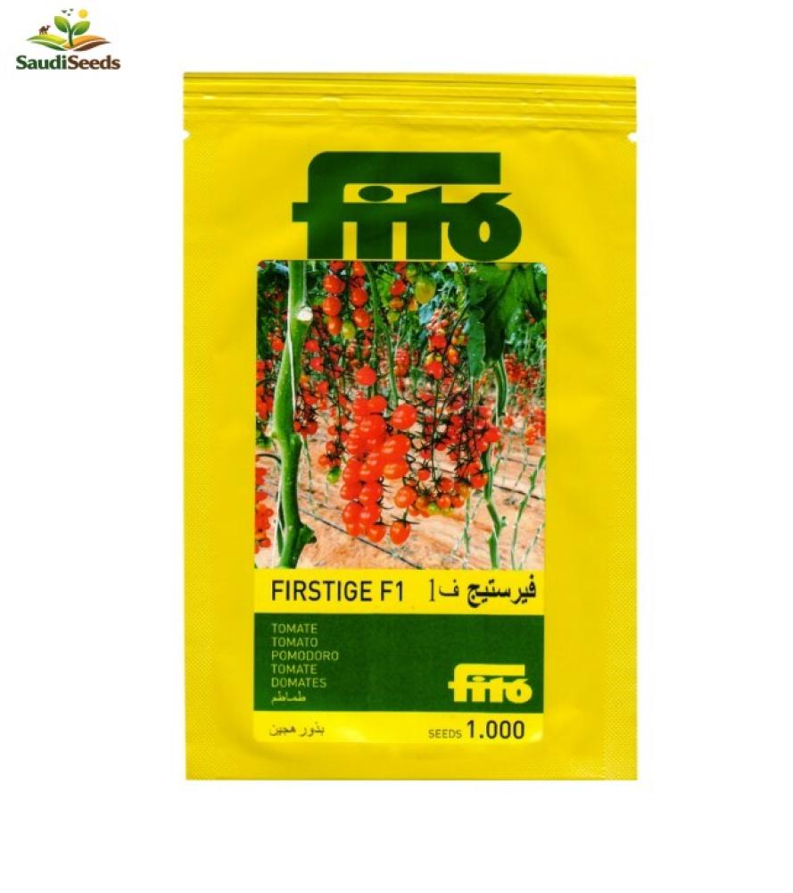 طماطم شيري فيرستيج F1 ا 1000 بذرة Firstige F1 Cherry Tomato