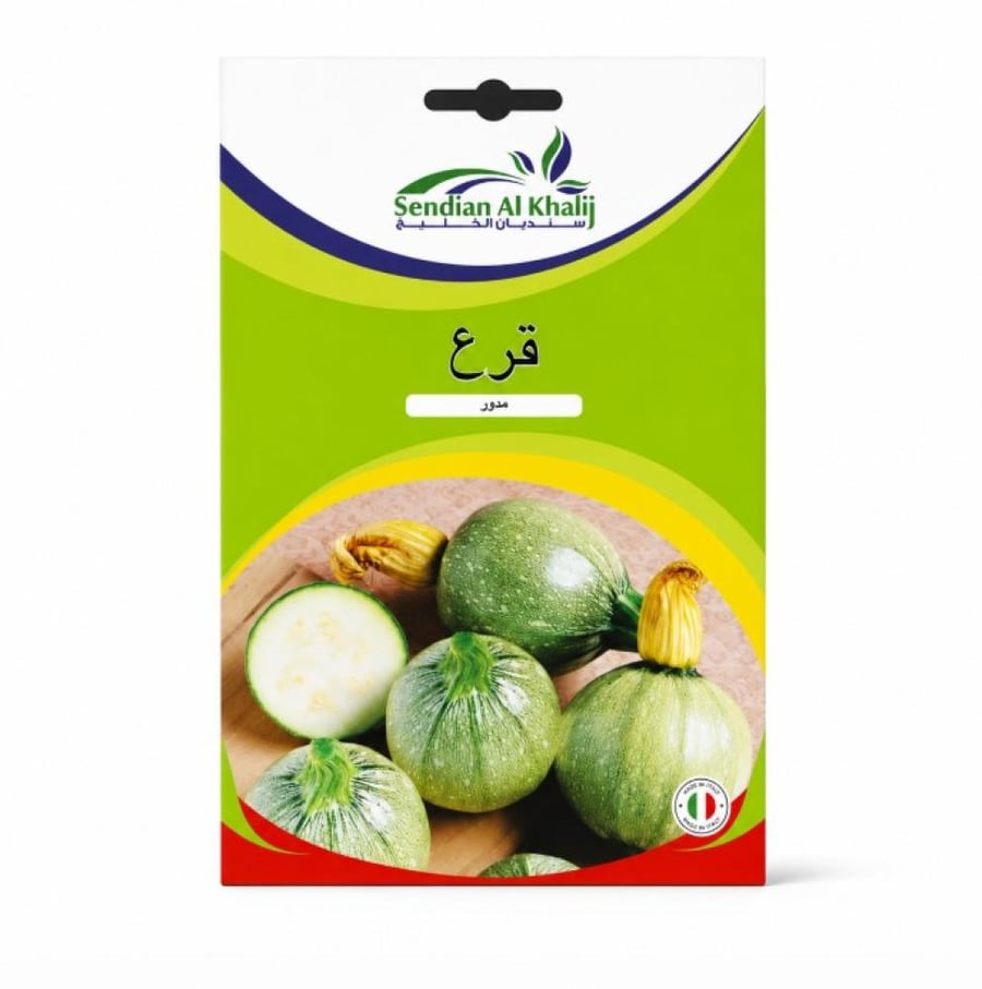 بذور قرع مدور 5 غم