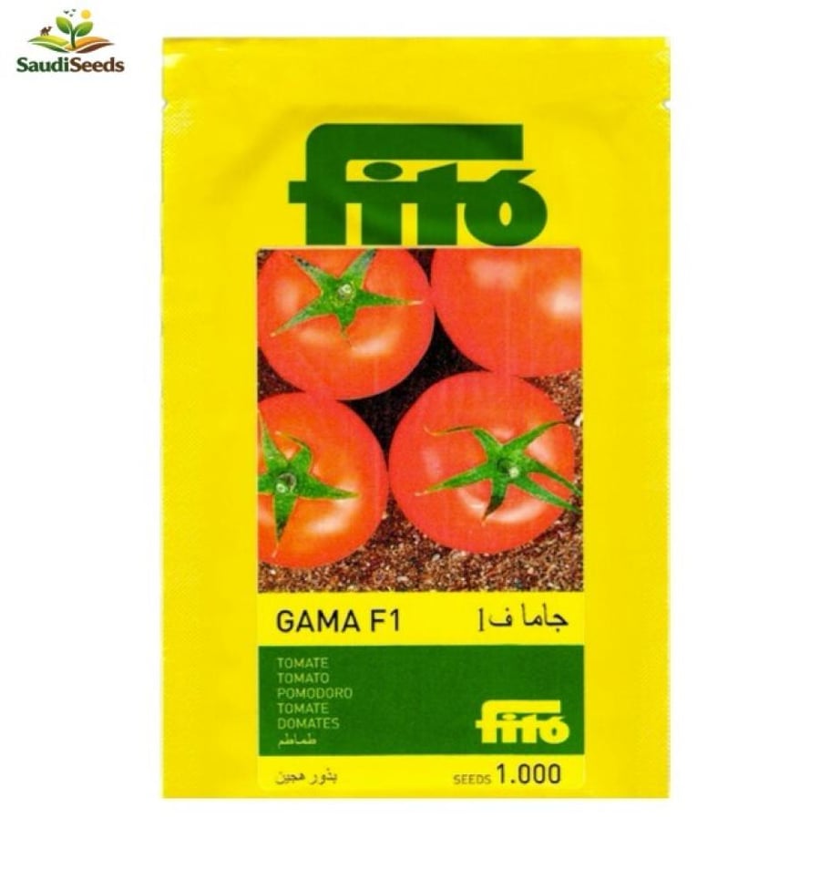 طماطم جاما F1 للبيت المحمي 1000 بذرة Gama F1 Tomato