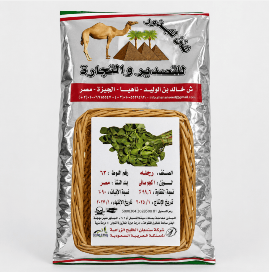 بذور رجلة مصري أبو جمل 1 كيلو