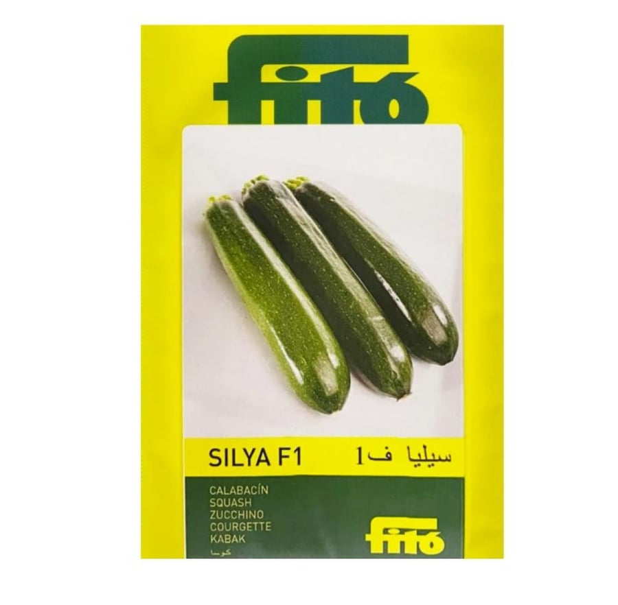 كوسة سيليا 100 بذرة Celia F1 Zucchini