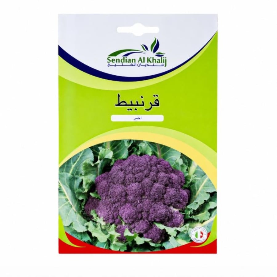 بذور قرنبيط أحمر 10 غم