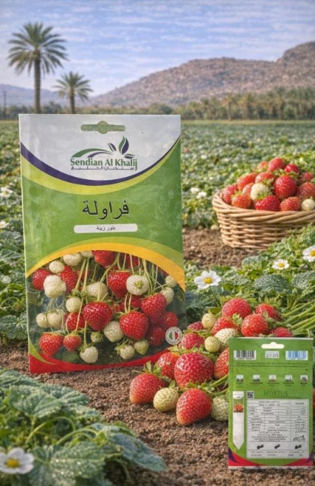 بذور فراولة بذور زينة 1 غم
