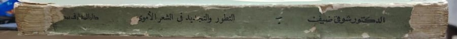التطور والتجديد في العصر الأموي اصل