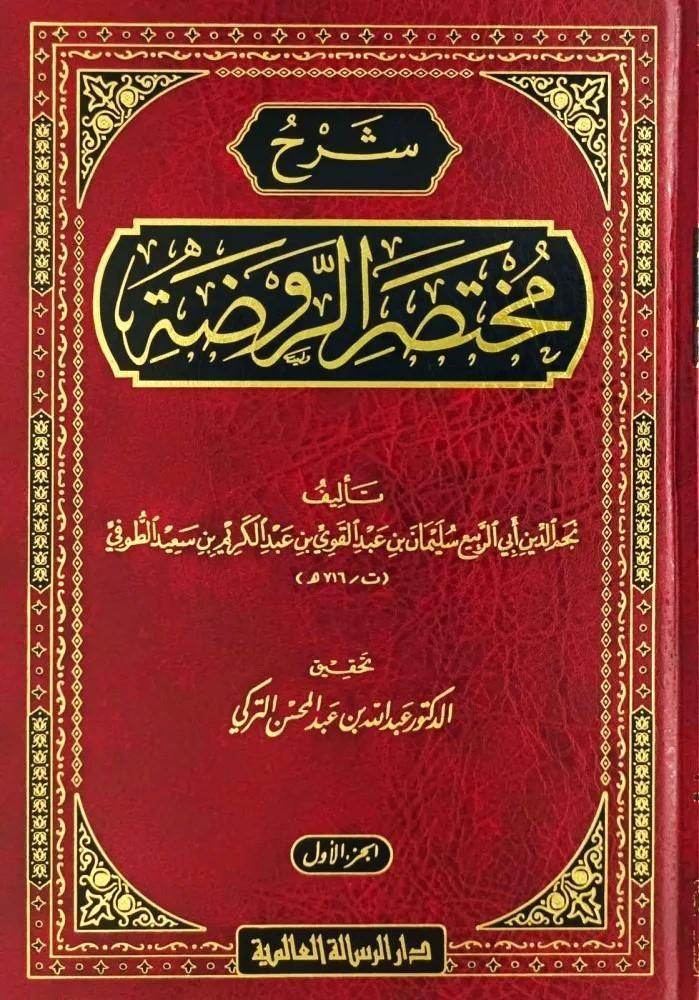 شرح مختصر الروضة  3/1