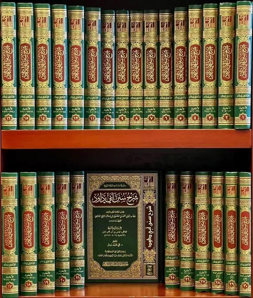 شرح سنن ابي داود لابن رسلان ٣٠/١